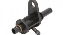 Regulator presiune Ford TRANSIT CONNECT (P65_, P70...