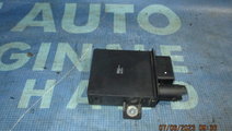 Releu bujii BMW E70 X5 3.0sd; 132197