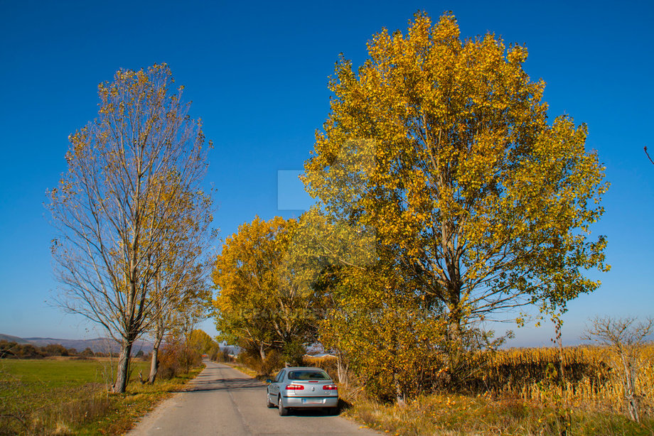 Renault Laguna Laguna 2/Josephine