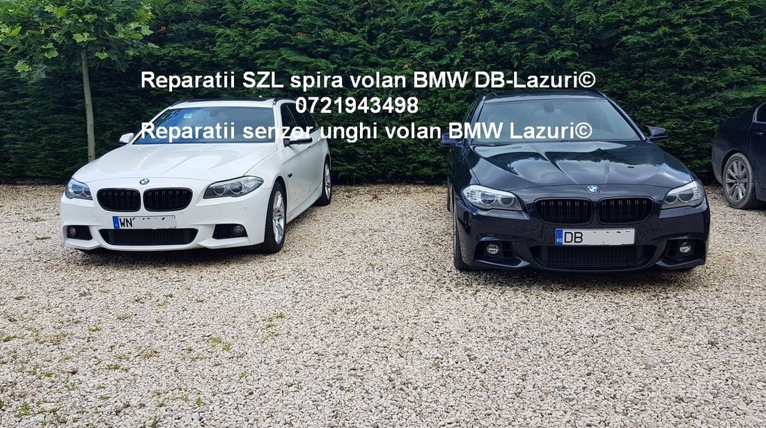 Repar spira volan  SZL Bmw F10 F11