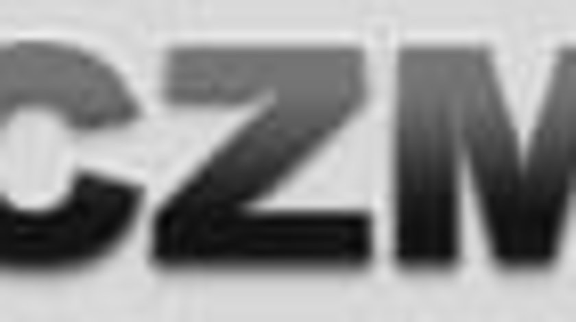 Rezervor combustibil CZM CZM110906