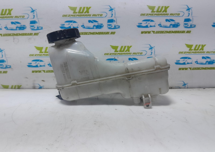 Rezervor lichid frana 460919499r Renault Talisman [2012 - 2020]