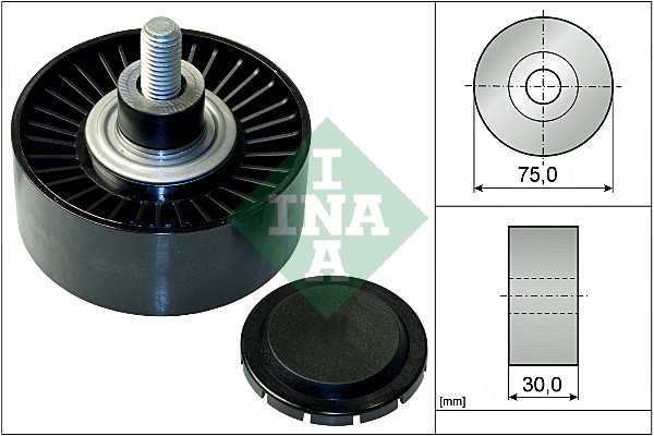 Rola ghidare/conducere, curea transmisie (532075110 INA) BMW