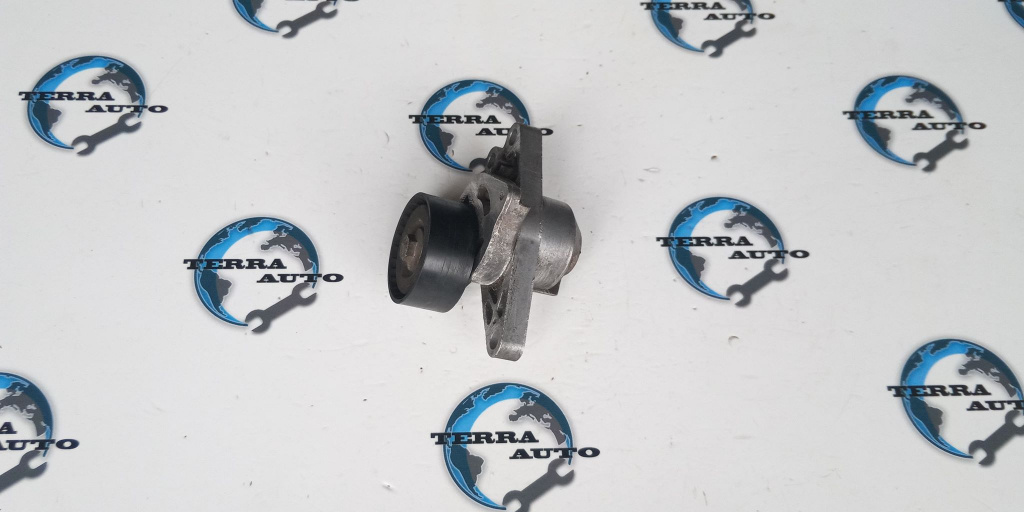 Rola intinzatoare accesorii Citroen C2 1.6 16V 80 KW 109 CP cod motor NFU