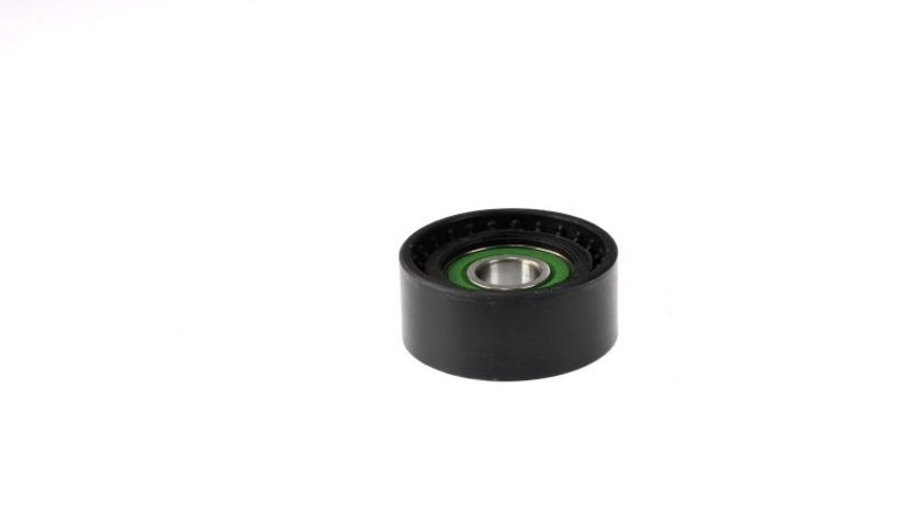Rola intinzator curea accesorii DACIA SOLENZA (B41_) BTA E2R5606BTA