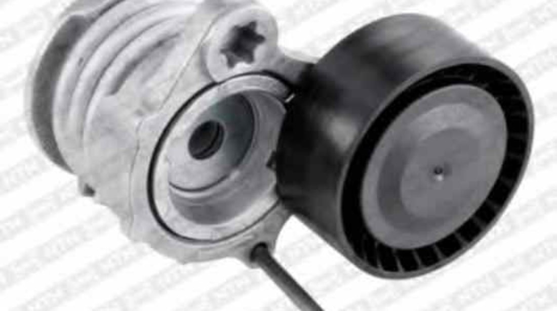 rola intinzator curea alternator BMW 3 E90 SNR GA350.65