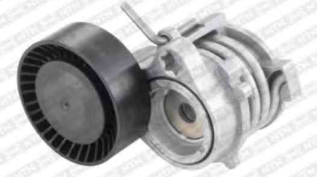 rola intinzator curea alternator BMW X3 E83 SNR GA350.63