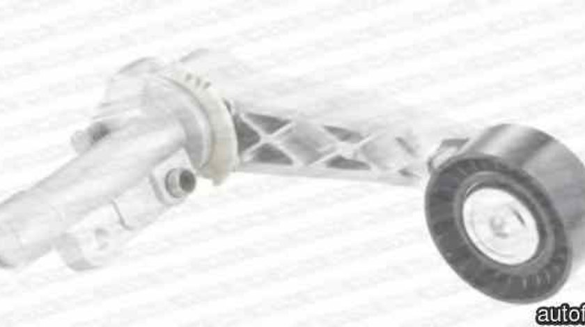 rola intinzator curea alternator CITROËN DS3 SNR GA350.67
