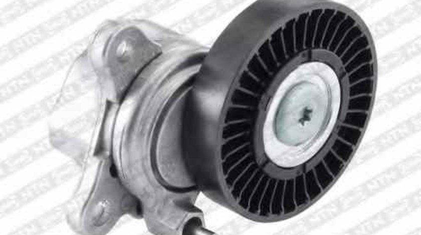 Rola intinzator curea alternator LAND ROVER FREELANDER LN SNR GA361.06