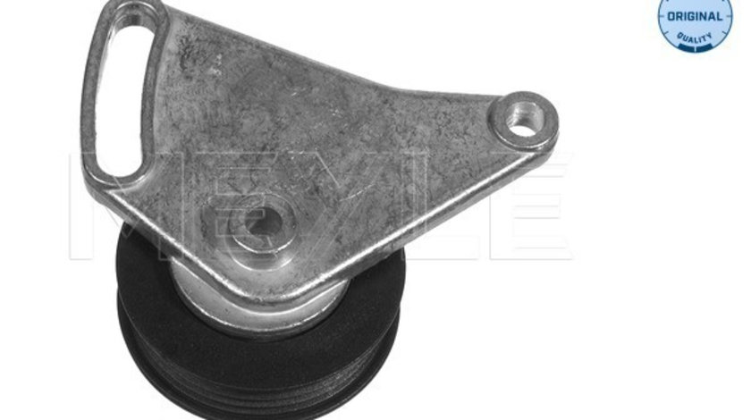 Rola intinzator,curea transmisie (1002600001 MEYLE) AUDI,SKODA,VW