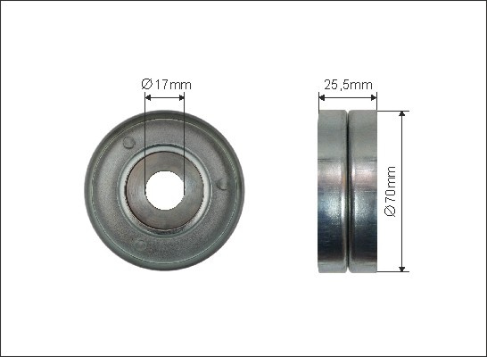 Rola intinzator,curea transmisie (25500 CAFFARO) BMW,OPEL