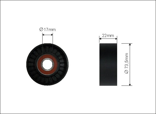 Rola intinzator,curea transmisie (3000 CAFFARO) FORD,MAZDA