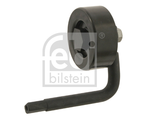 Rola intinzator,curea transmisie (30118 FEBI BILSTEIN) BMW