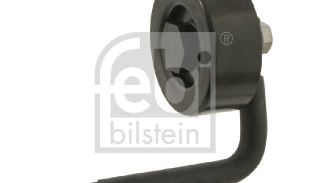 Rola intinzator,curea transmisie (30118 FEBI BILSTEIN) BMW