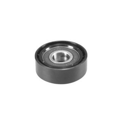 Rola intinzator,curea transmisie (331316170091 MAGNETI MARELLI)