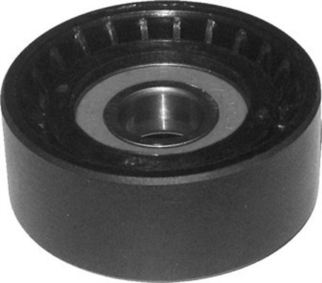 Rola intinzator,curea transmisie (331316170162 MAGNETI MARELLI)