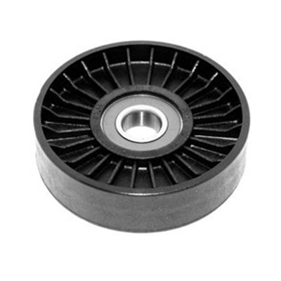 Rola intinzator,curea transmisie (331316170215 MAGNETI MARELLI)