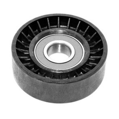 Rola intinzator,curea transmisie (331316170232 MAGNETI MARELLI)