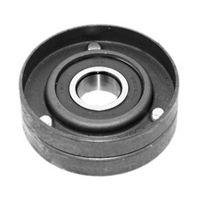 Rola intinzator,curea transmisie (331316170317 MAGNETI MARELLI)