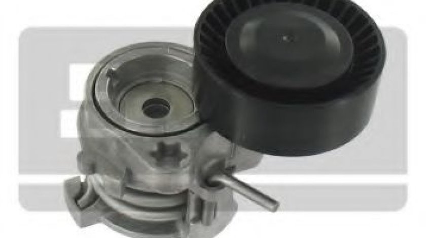 Rola intinzator,curea transmisie BMW Seria 3 (E46) (1998 - 2005) SKF VKM 38302 piesa NOUA