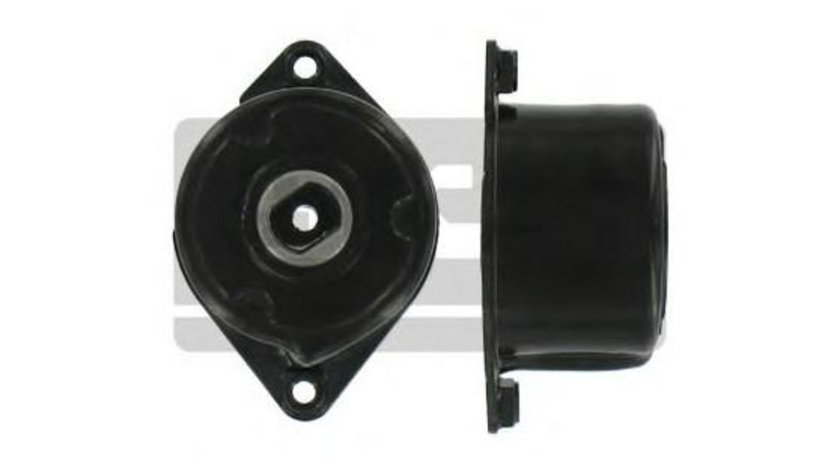 Rola intinzator,curea transmisie BMW X5 (E53) 2000-2006 #2 11287786880