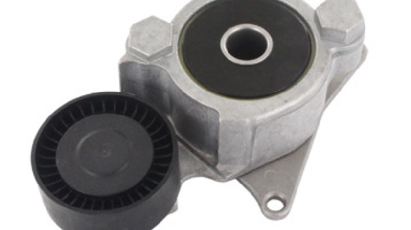 Rola intinzator,curea transmisie centru (VKM61016 SKF) LEXUS,TOYOTA