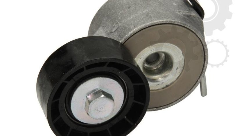Rola intinzator curea transmisie CITROËN JUMPER Autobus Producator SNR GA359.17