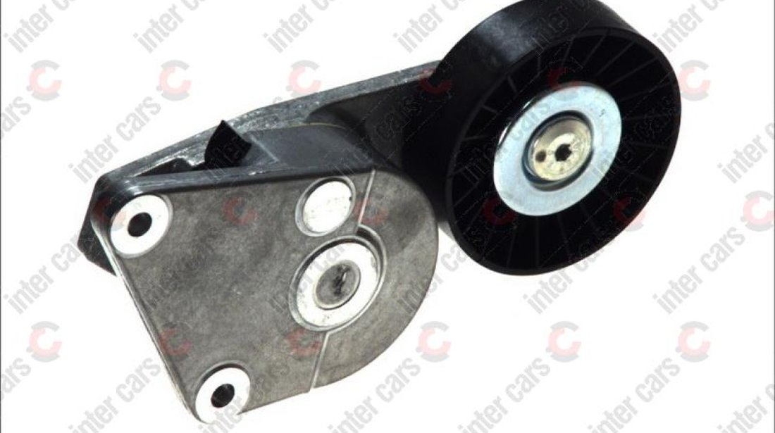 rola intinzator curea transmisie CITROËN ZX N2 Producator SNR GA358.53