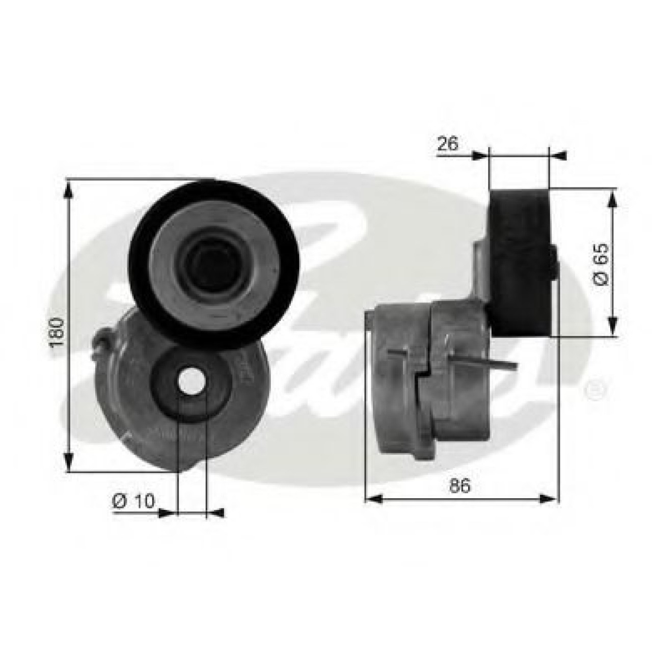 Rola intinzator,curea transmisie FIAT PUNTO Van (199) (2008 - 2016) GATES T38440 piesa NOUA