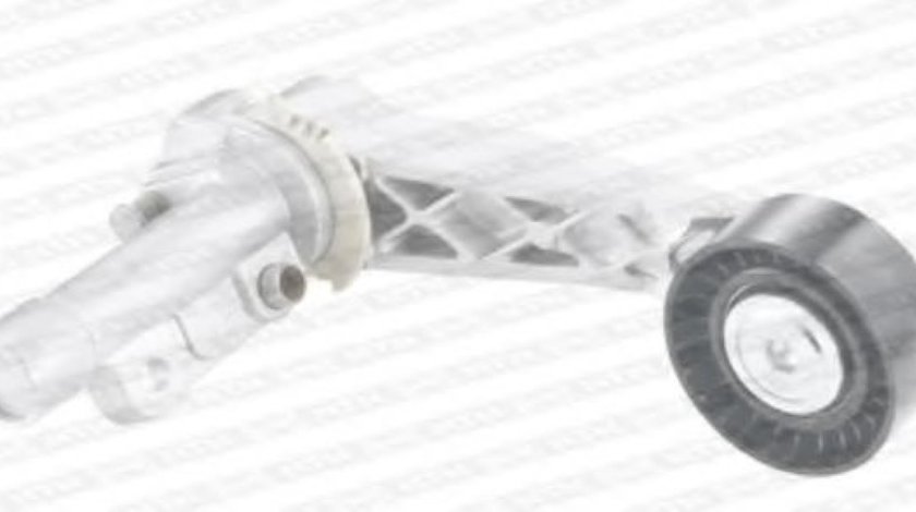 Rola intinzator,curea transmisie PEUGEOT 208 (2012 - 2016) SNR GA350.67 piesa NOUA