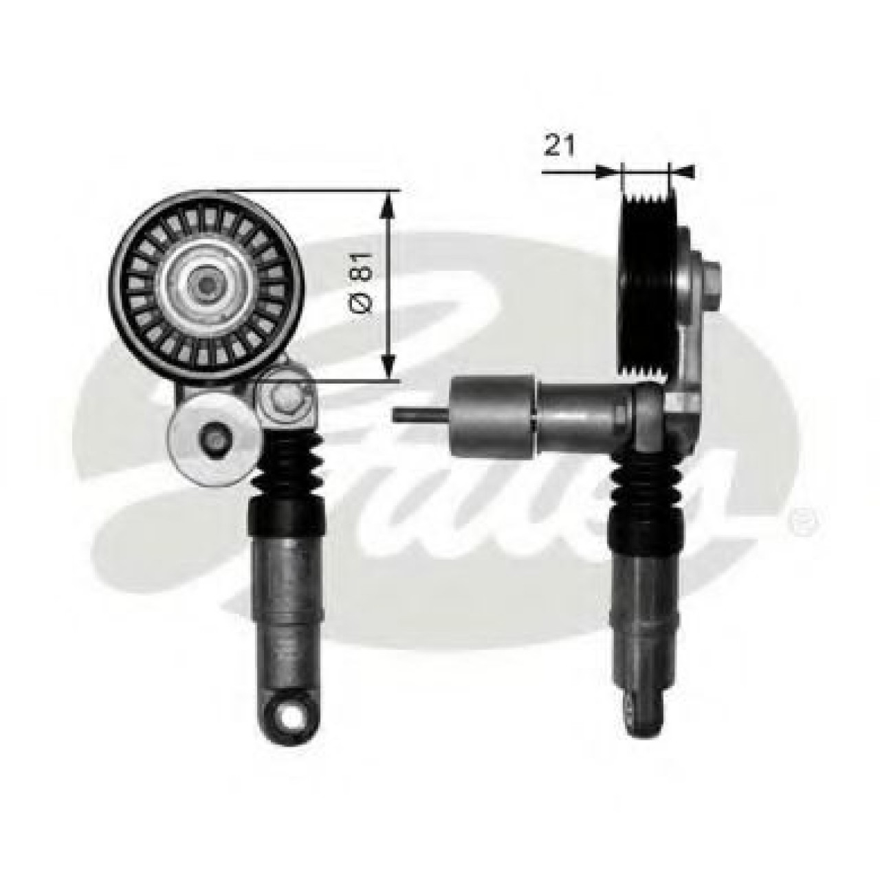 Rola intinzator,curea transmisie SKODA SUPERB I (3U4) (2001 - 2008) GATES T38306 piesa NOUA