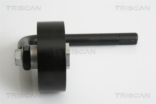 Rola Intinzator,curea Transmisie Triscan Bmw 8641 111015