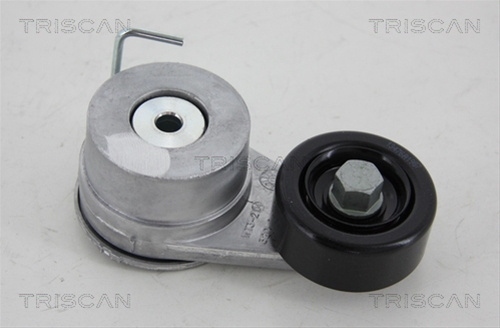 Rola Intinzator,curea Transmisie Triscan Hyundai 8641 431003