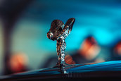 Rolls Royce Ghost Black Badge