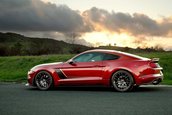 Roush Mustang 2019 Stage 3