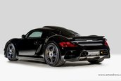 RUF CTR3 de vanzare