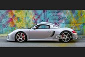 Ruf CTR3 de vanzare