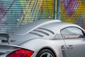 Ruf CTR3 de vanzare