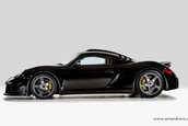 RUF CTR3 de vanzare