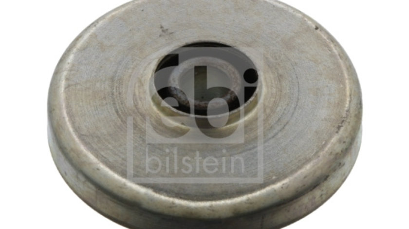 Rulment, diferential puntea spate (06667 FEBI BILSTEIN) MERCEDES-BENZ