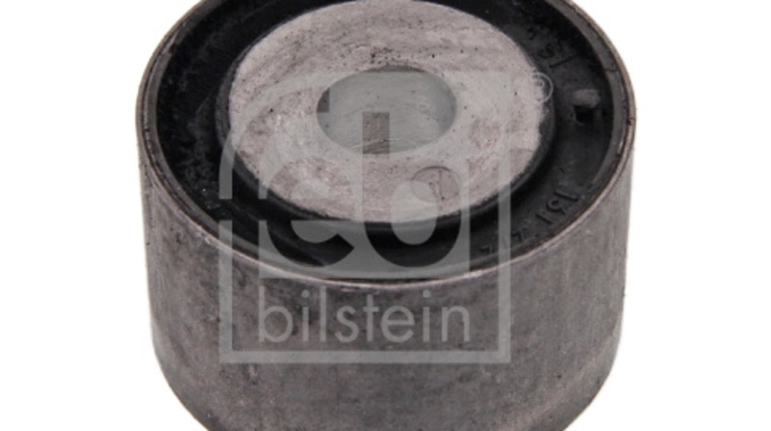 Rulment, diferential puntea spate (10843 FEBI BILSTEIN) BMW