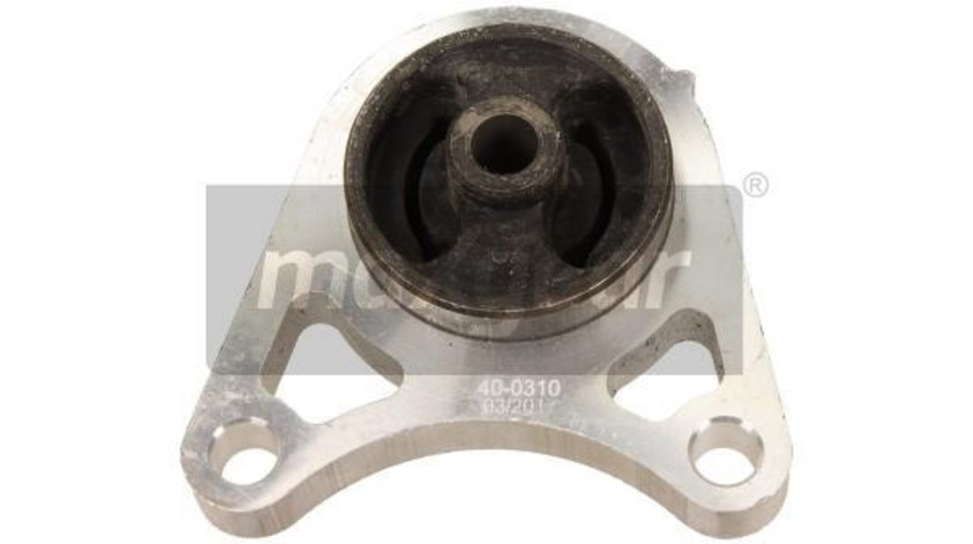 Rulment, diferential puntea spate (400310 MAXGEAR) LAND ROVER