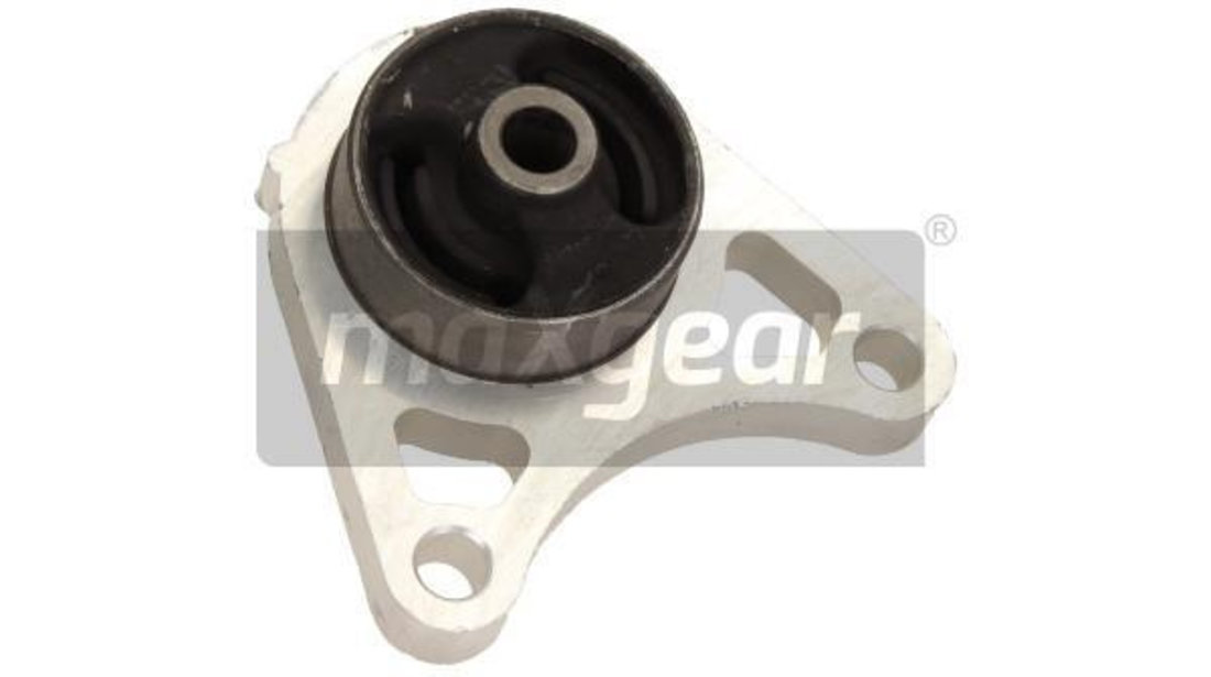 Rulment, diferential puntea spate (723184 MAXGEAR) LAND ROVER