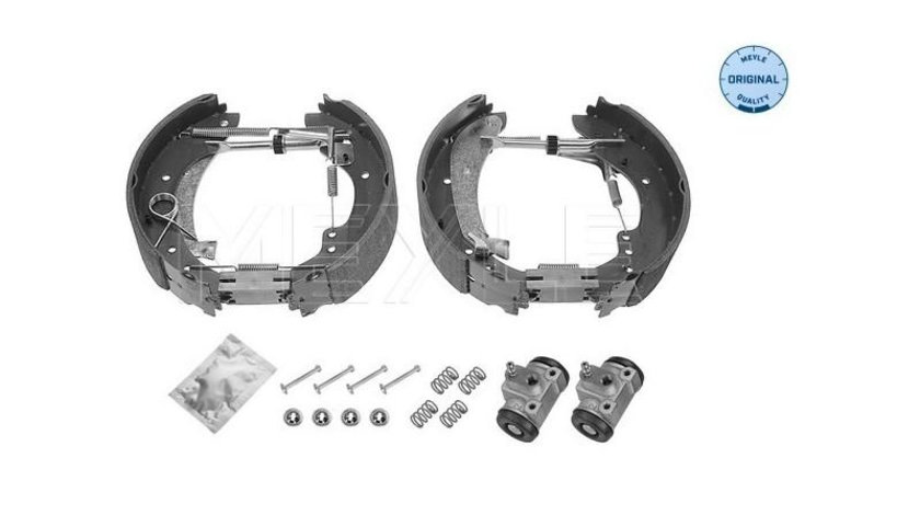 Saboti frana Dodge RAM 4000 platou / sasiu (DH, DR, D1, DC, DM) 2005-2016 #2 0204114538