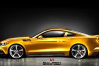 Saleen 302