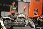 SALONUL AUTO BUCURESTI - 2003