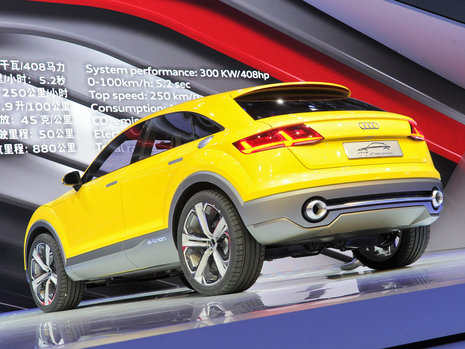 Salonul Auto de la Beijing 2014: Audi TT Offroad Concept