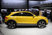 Salonul Auto de la Beijing 2014: Audi TT Offroad Concept