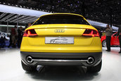 Salonul Auto de la Beijing 2014: Audi TT Offroad Concept