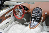 Salonul Auto de la Beijing 2014: Bugatti Legend Black Bess